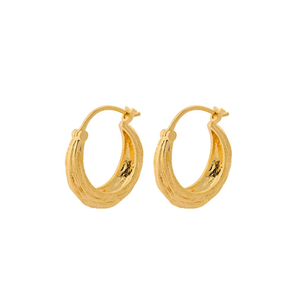 Pernille Corydon Gold Small Coastline Earrings
