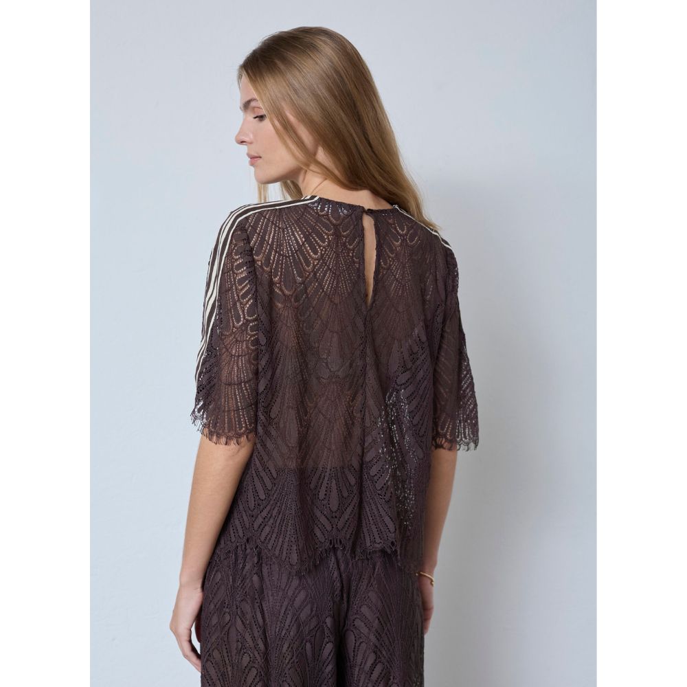 Co'Couture Brown Leti Lace Blouse